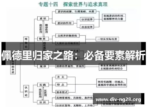 佩德里归家之路：必备要素解析