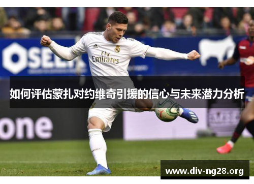 如何评估蒙扎对约维奇引援的信心与未来潜力分析