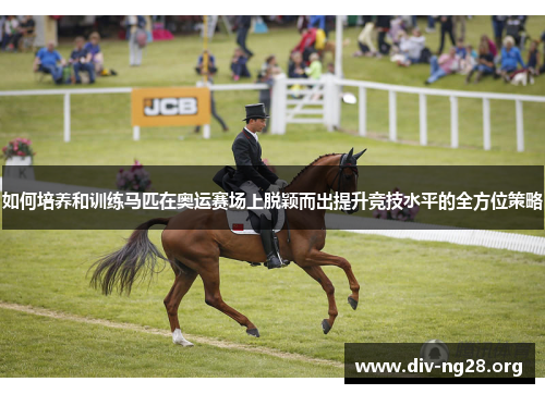 如何培养和训练马匹在奥运赛场上脱颖而出提升竞技水平的全方位策略