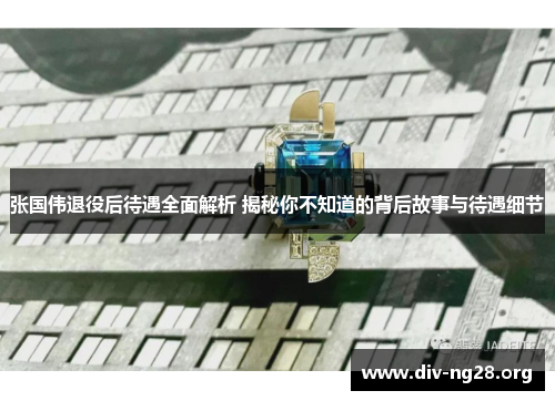 张国伟退役后待遇全面解析 揭秘你不知道的背后故事与待遇细节