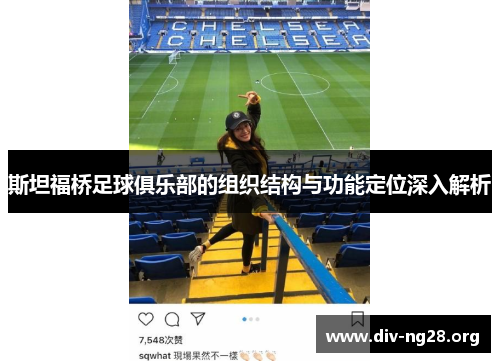 斯坦福桥足球俱乐部的组织结构与功能定位深入解析