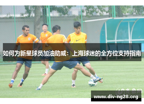 如何为新星球员加油助威：上海球迷的全方位支持指南